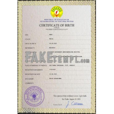 Madagascar fake birth certificate photoshop template PSD 