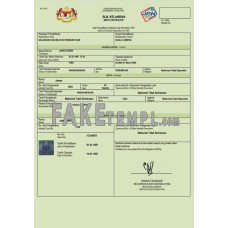 Malaysia fake birth certificate Word and PDF template