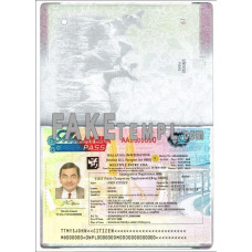 Malaysia multiple fake entry visa photoshop template PSD