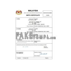 Malaysia vital record fake birth certificate Word and PDF template