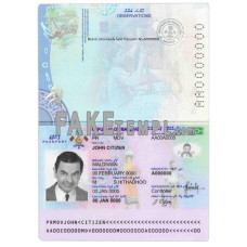 Maldives fake passport photoshop template PSD