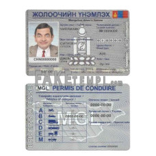 Mongolia fake driving license photoshop template PSD