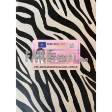 Netherland new fake driving license photolook template PSD, scan and photo-realistic look