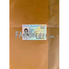 Netherlands fake identity card photolook template PSD,scan and photo-realistic look