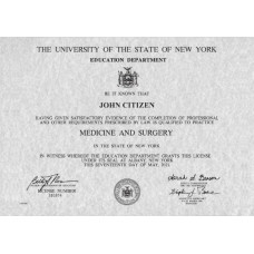 New York State Education Department Education fake diploma photoshop template PSD