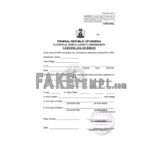 Nigeria birth certificate template in Word and PDF format