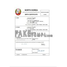 North Korea fake birth certificate Word and PDF template