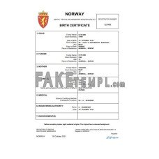 Norway fake birth certificate Word and PDF template