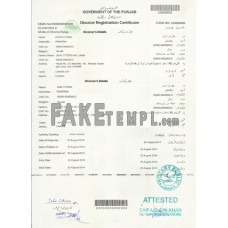 Pakistan (Punjab) divorce certificate PSD template