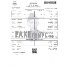 Pakistan fake Birth Registration certificate photoshop template PSD 