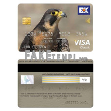 Pakistan The bank of Khyber fake visa classic card photoshop template PSD