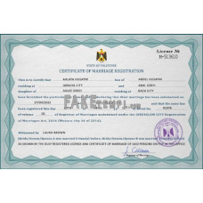 Palestine fake marriage certificate photoshop template PSD 