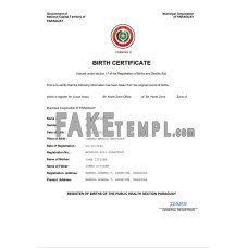 Paraguay fake birth certificate Word and PDF template