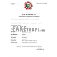 Paraguay fake death certificate Word and PDF template