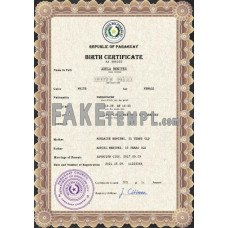 Paraguay fake vital record birth certificate photoshop template PSD 