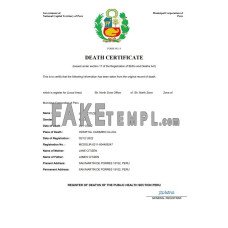 Peru vital record fake death certificate Word and PDF template