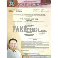 Philippines City of Lucena private entrepreneur fake certificate photoshop template PSD 