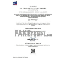 Philippines Department of Trade and Industry (DTI) private entrepreneur fake certificate template in Word and PDF format