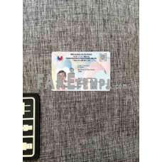 Philippines fake ID card (2019 - present) photolook template PSD,scan and photo-realistic look