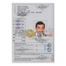 Philippines International (Vienna Convention format) fake driving license photoshop template PSD