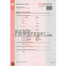 Poland marriage certificate template in Word and PDF format