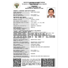 Russia fake e-visa Word and PDF template