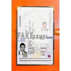 Romania fake passport photolook template PSD, scan and photo-realistic look