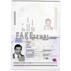 Romania fake passport photoshop template PSD