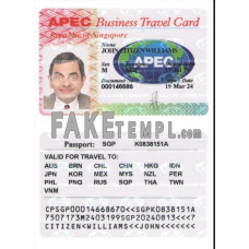 Singapore fake business travel card photoshop template PSD