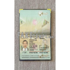 Salvador fake passport photolook template PSD, scan and photo-realistic look