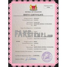 Singapore fake vital record birth certificate photoshop template PSD 