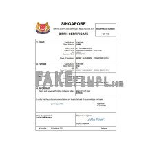 Singapore vital record fake birth certificate Word and PDF template