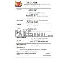 Singapore vital record fake death certificate Word and PDF template