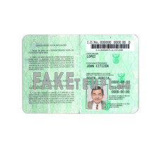 South Africa fake identity card photoshop template PSD 1986-2013