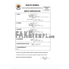 South Korea fake birth certificate Word and PDF template