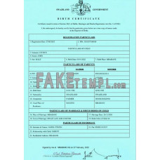 Swaziland birth certificate template in Word and PDF format