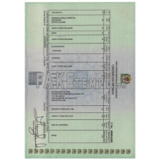 Tanzania fake birth certificate photoshop template PSD , version 2