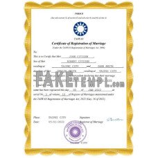 Taiwan fake marriage certificate Word and PDF template