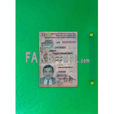 Tajikistan fake driving license photolook template PSD, scan and photo-realistic look