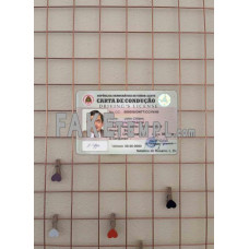 Timor Leste fake driving license photolook template PSD, scan and photo-realistic look