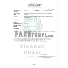 Turkey Istanbul Certificate of Activity template in Word and PDF format