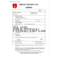 Turkey fake birth certificate Word and PDF template