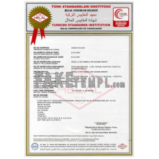 Turkish Standards Institution certificate PSD template, 2 pages