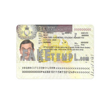 United Kingdom fake entry visa photoshop template PSD