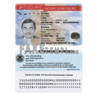 USA fake employment authorization card photoshop template PSD 