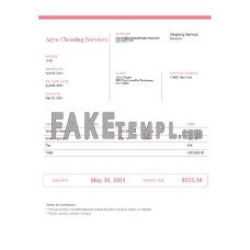 USA Arya Cleaning Services fake Invoice Word and PDF template