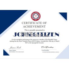 USA fake Basketball Participation Certificate template in Word and PDF format