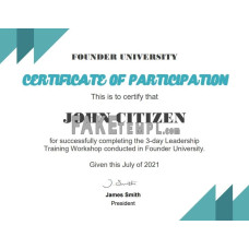 USA fake Business School Certificate template in Word and PDF format