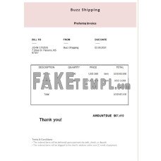 USA Buzz Shipping fake Invoice Word and PDF template