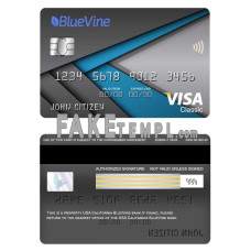 USA California BlueVine bank fake visa classic card photoshop template PSD